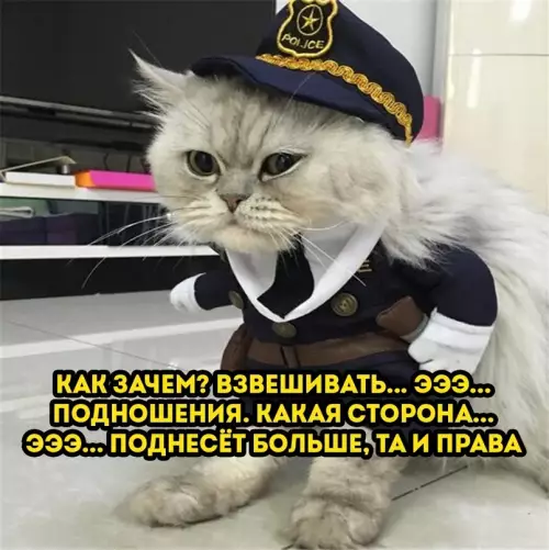 продолжение Смешная картинка №624072 Богиня правосудия