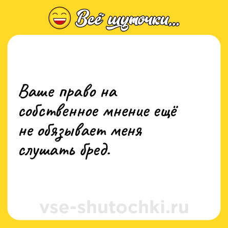 Шутка: Ваше право на собственное мнение ещё не обязывает меня слушать бред.
