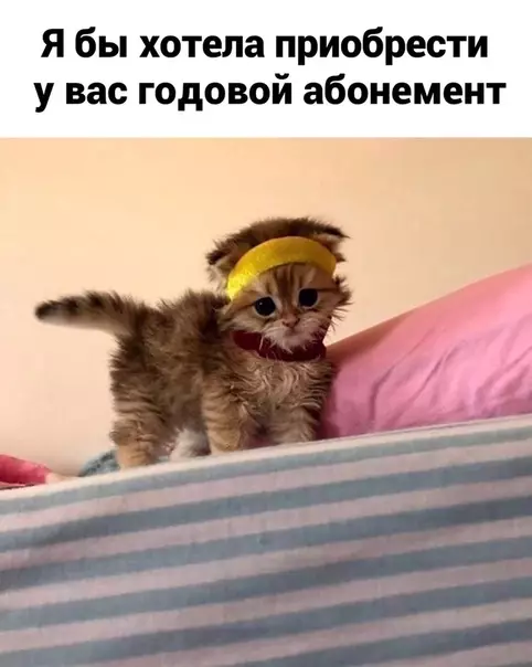Смешная картинка №528977