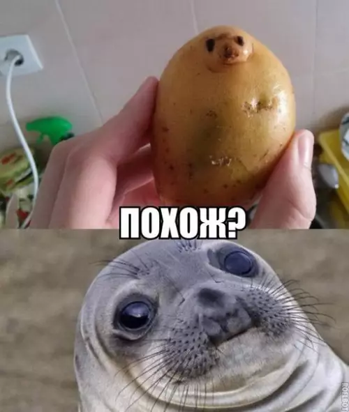 Смешная картинка №271429