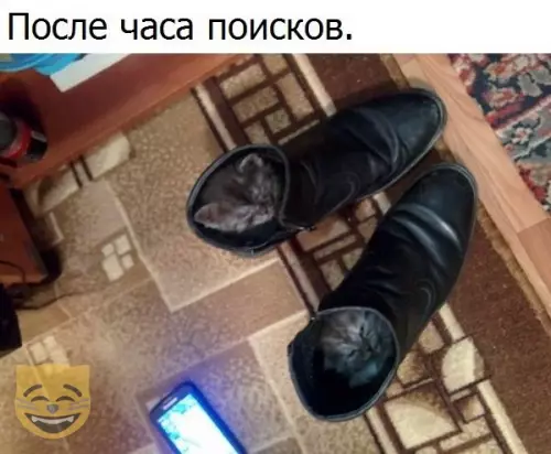 Смешная картинка №334902 #приколы #картинки #мемы ?