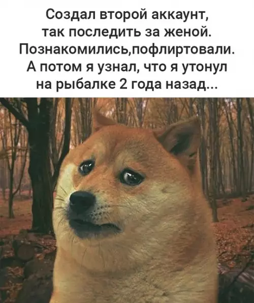 Смешная картинка №738183