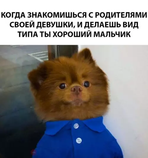 Смешная картинка №293674