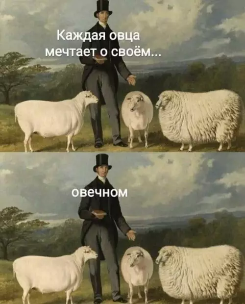 Смешная картинка №674809
