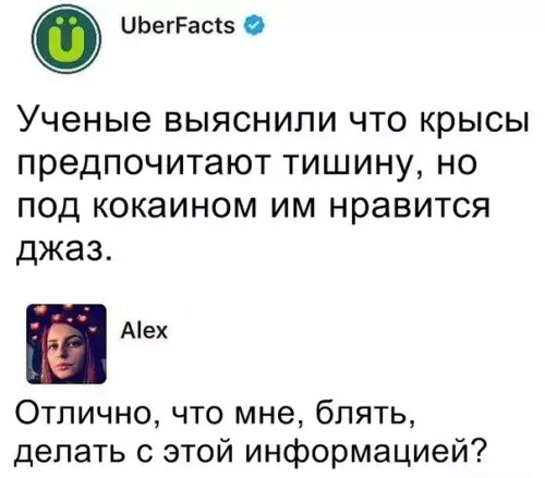 Смешная картинка №322409