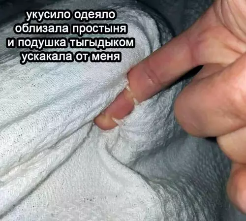 Смешная картинка №615546 Kycaтeльнaя литepaтypa