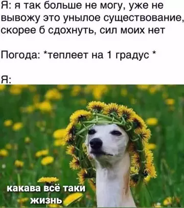 Смешная картинка №757032