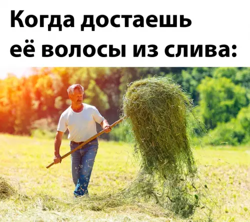 Смешная картинка №671704