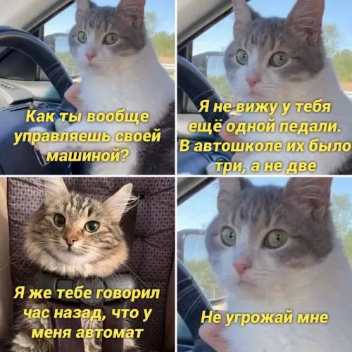 Смешная картинка №661400