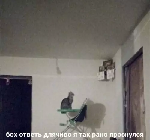 Смешная картинка №692275