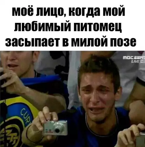 Смешная картинка №221746