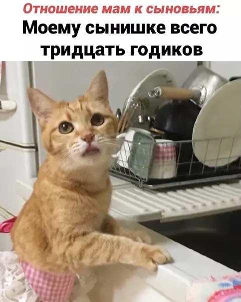Смешная картинка №578278