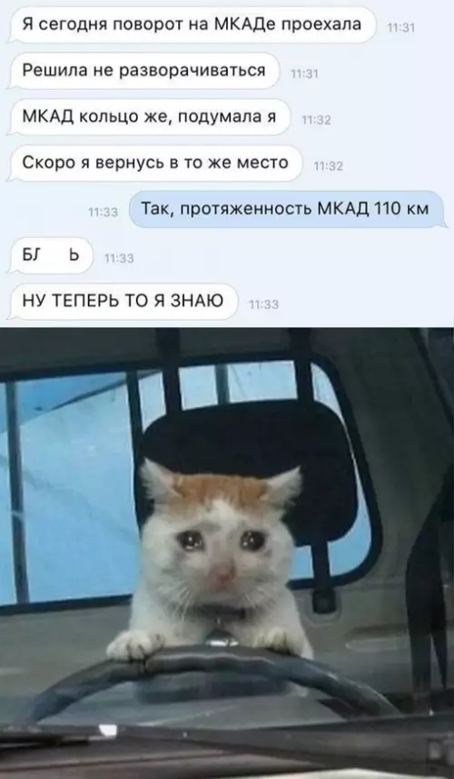 Смешная картинка №709871