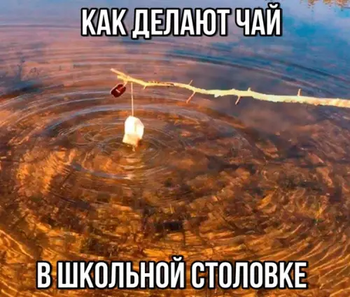 Смешная картинка №291042