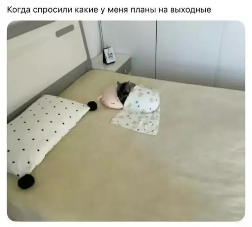 Мой идеальный план на выходные 😴✨ - Когда спросили какие у меня планы на выходные