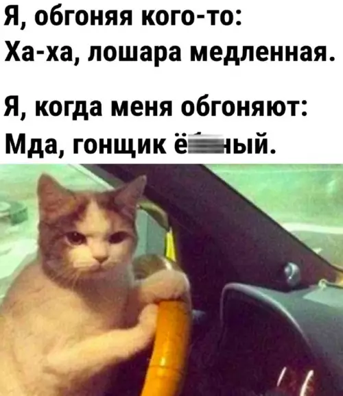 Смешная картинка №660856