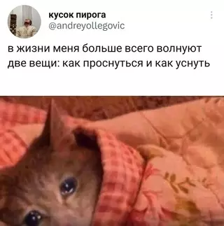 Смешная картинка №679650