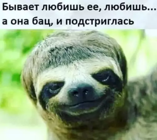 Смешная картинка №375574