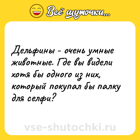 Шутка: Дельфины - очень умные животные. Где вы видели хотя бы одного из них, который покупал бы палку для селфи?