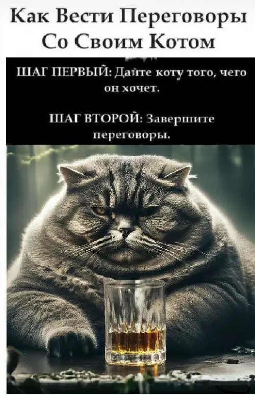 Смешная картинка №729650 Торг не уместен коты
