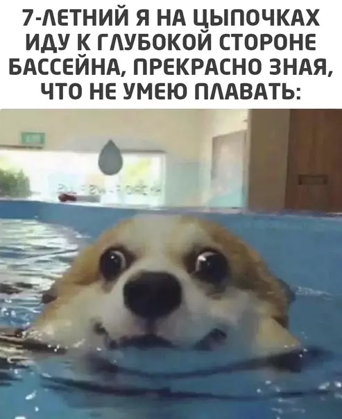 Смешная картинка №535765