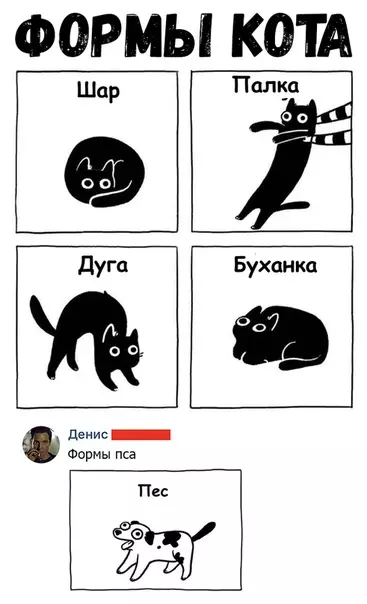 Смешная картинка №357808 животные