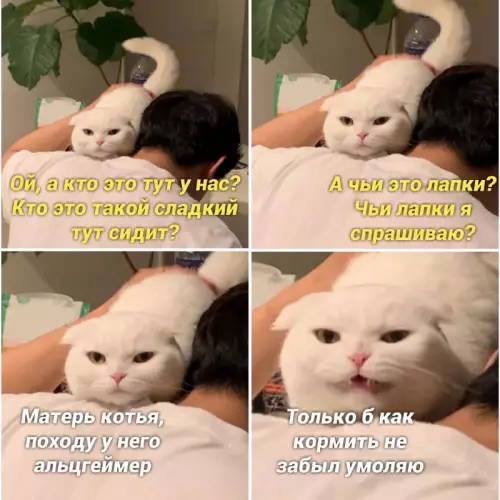 Смешная картинка №663068