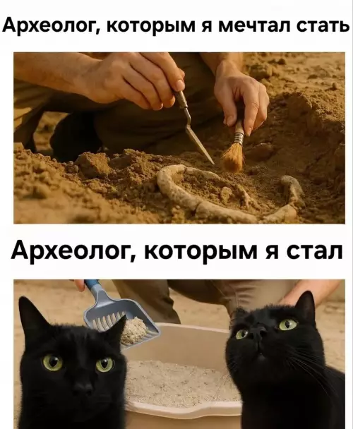 Ожидание vs Реальность: карьера археолога 🔍 - Археолог, которым я мечтал стать. Археолог, которым я стал