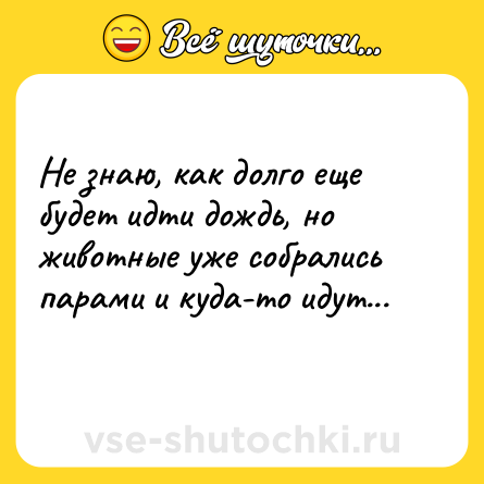 Шутка: Не знаю, как долго еще будет идти дождь, но животные уже собрались парами и куда-то идут...<br>
