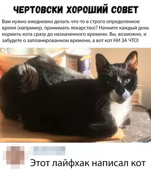 Смешная картинка №326493