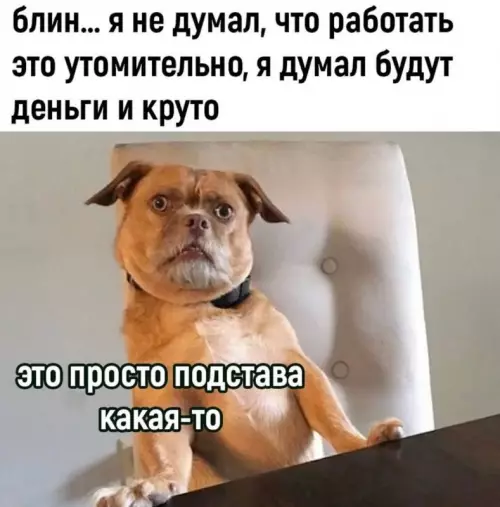 Смешная картинка №728380 Работа