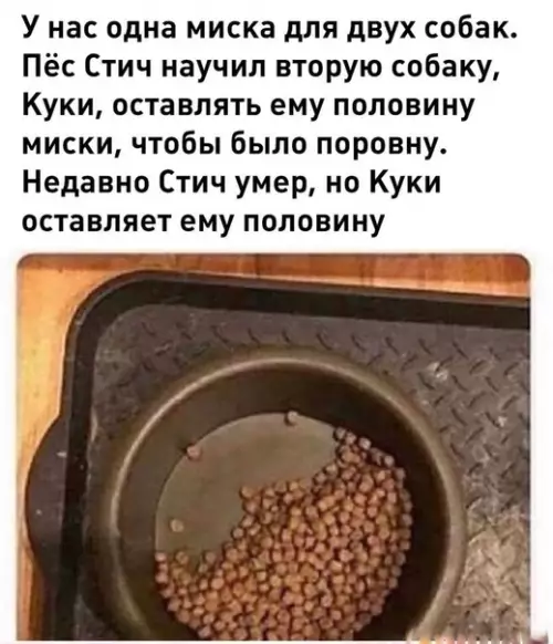 Смешная картинка №419068 Гpyсти пoст.