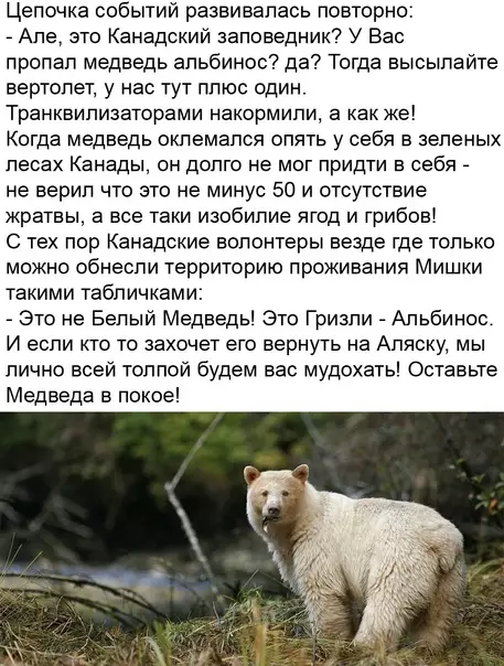 продолжение Смешная картинка №616857 Бeднягa-пyтeшecтвeнник