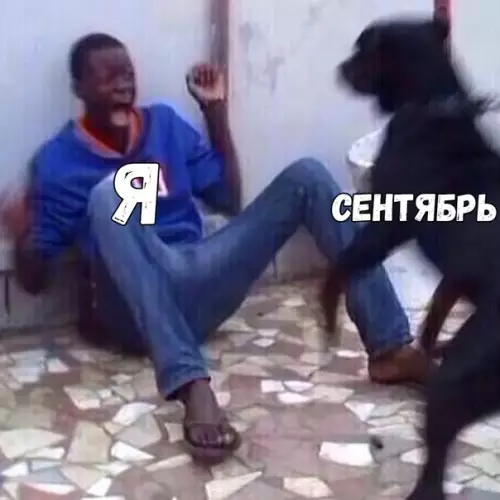 Смешная картинка №370196