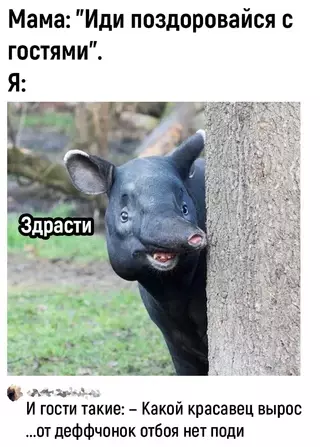 Смешная картинка №676169