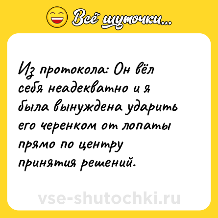 Шутка: Из протокола: Он вёл себя неадекватно и я была вынуждена ударить его черенком от лопаты прямо по центру принятия решений.