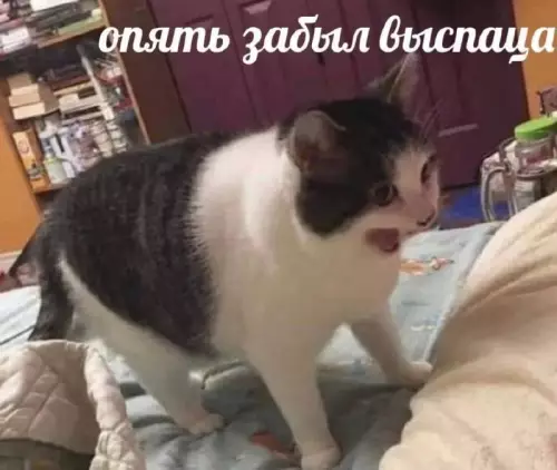 Смешная картинка №707114
