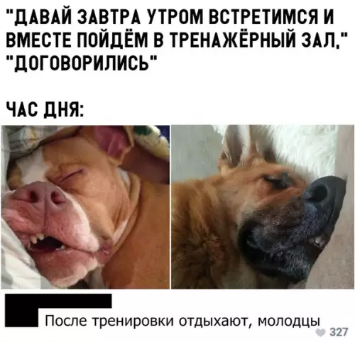 Смешная картинка №298772