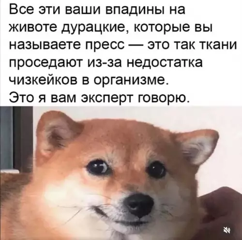 Смешной собака-эксперт