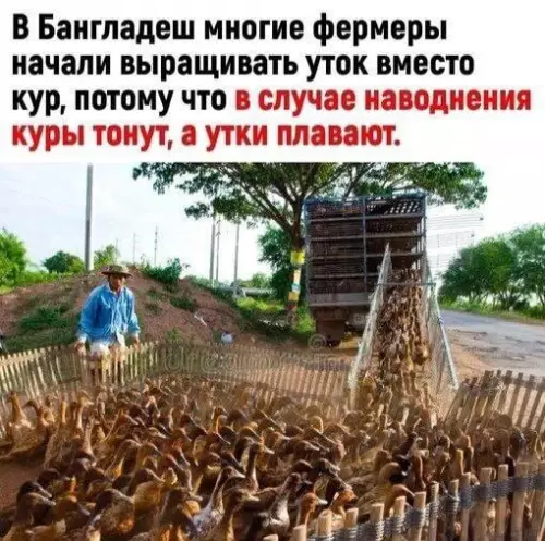 Смешная картинка №696293