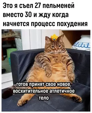 Смешная картинка №722463
