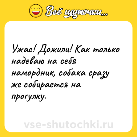 Шутка: Ужас! Дожили! Как только надеваю на себя намордник, собака сразу же собирается на прогулку.