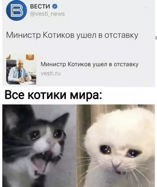 Смешная картинка №460270