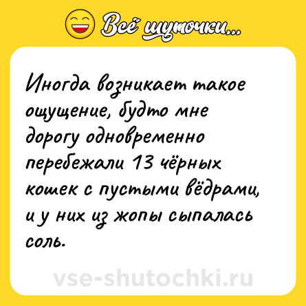 Шутка: Иногда возникает такое ощущение, будто мне дорогу одновременно перебежали 13 чёрных кошек с пустыми вёдрами, и у них из жопы сыпалась соль.