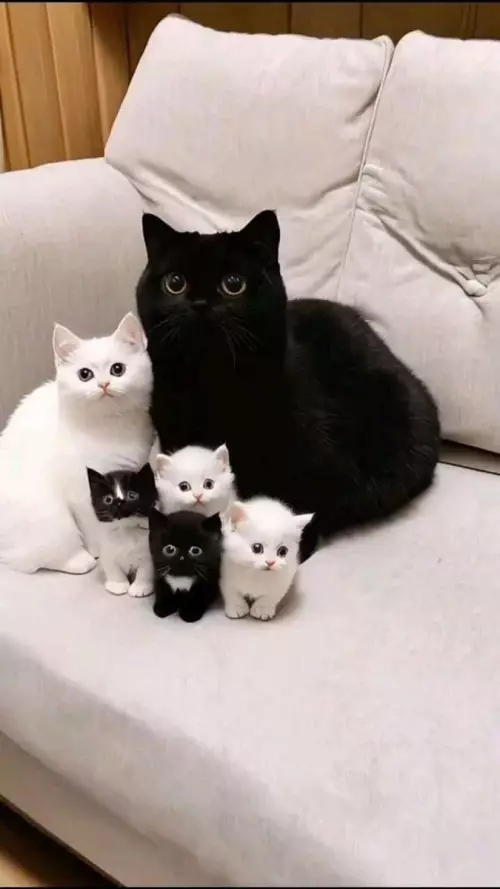 Смешная картинка №798320 Неплохой результат 