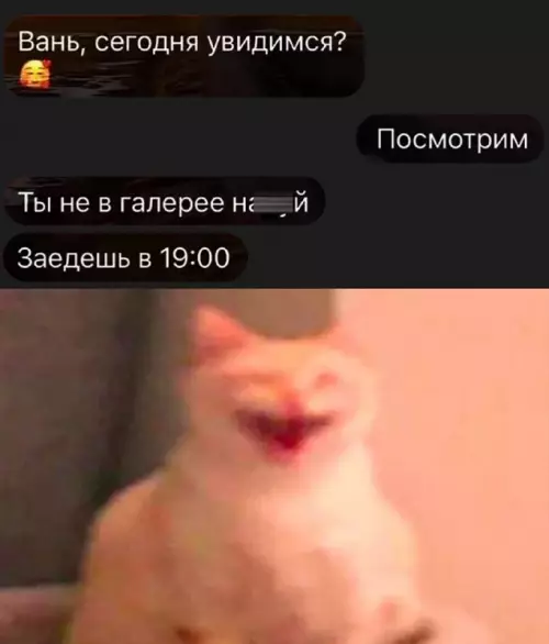 Смешная картинка №716809 Переписка 