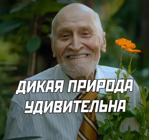 продолжение Смешная картинка №566921 собаки, животные