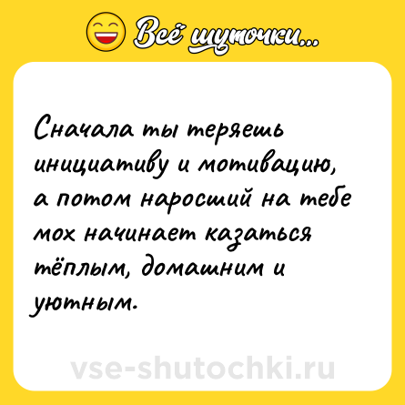 Шутка: Сначала ты теряешь инициативу и мотивацию, а потом наросший на тебе мох начинает казаться тёплым, домашним и уютным.