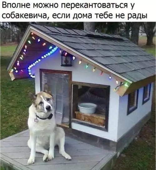 Смешная картинка №267075