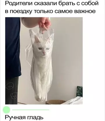 Смешная картинка №734009